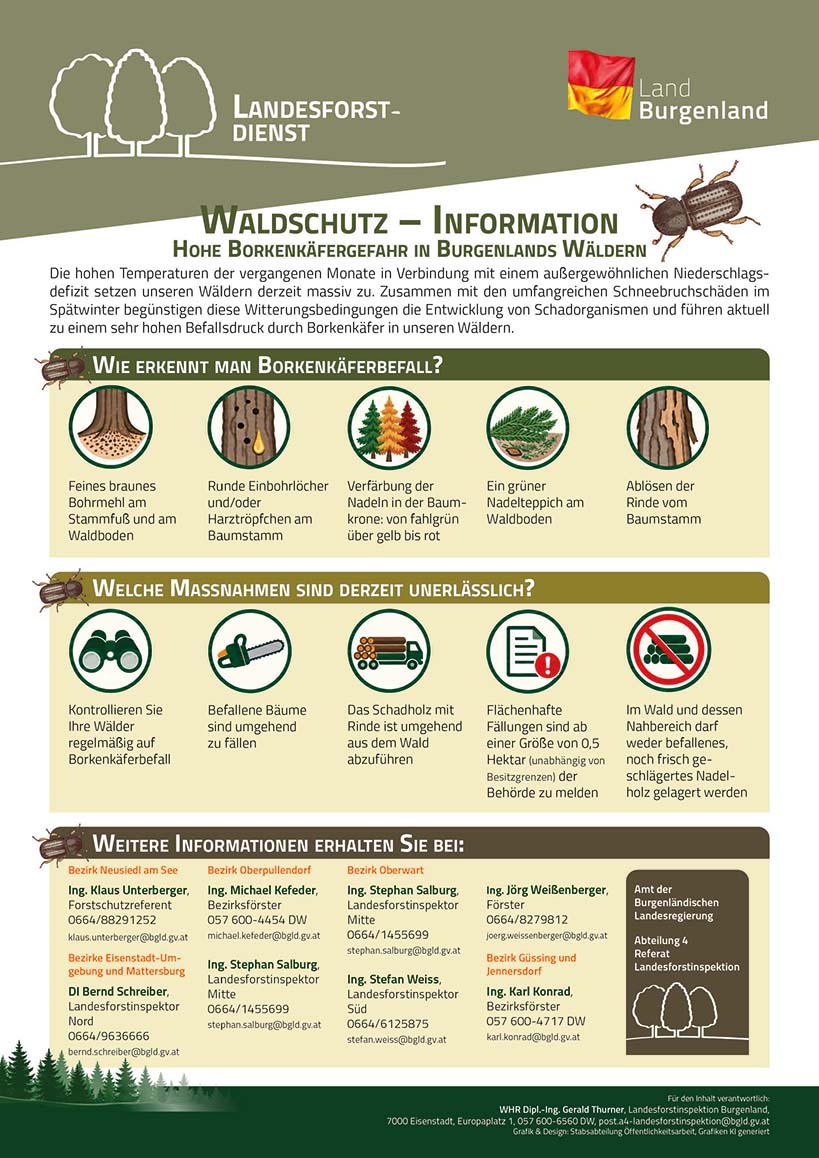 Waldschutz-Information - Hohe Borkenkäfergefahr in Burgenlands Wäldern
