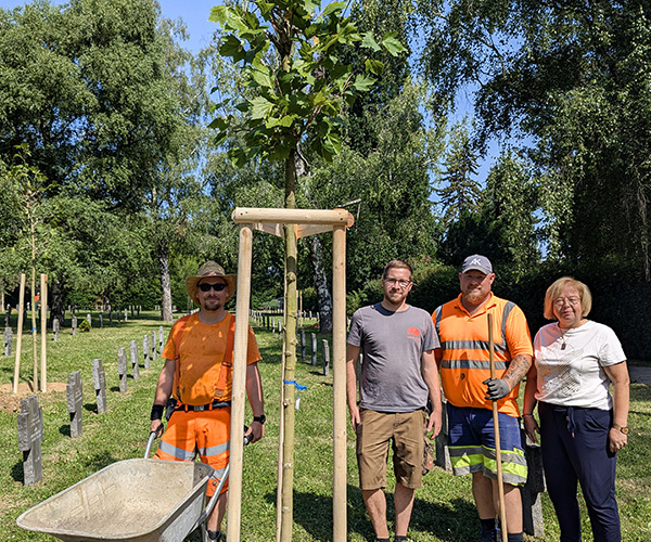 Marco Herzog und Manuel Haider vom Bauhof sowie die Gemeinderäte Martin Aufner und Sophia Wilfing neben einem der neu gepflanzten Bäume am Soldatenfriedhof in Mattersburg – ein gemeinsamer Beitrag zur Stadtbegrünung.