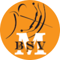 Logo Bogensportverein Mattersburg